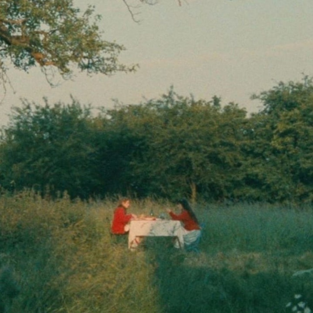 Meet your Posher, Fallon